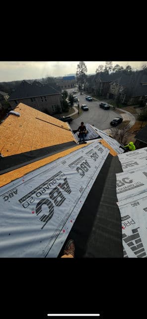 Enhancing Roof Durability with Ice Shield image